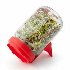 B00005 CSÍRÁZTATÓ ÜVEGEDÉNY