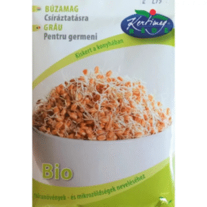 Búzamag csíráztatásra BIO (Microgreen)