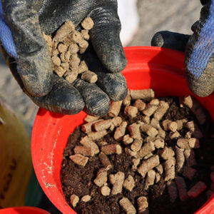 Fitowool Prémium Gyapjú Pellet – Univerzális 10kg