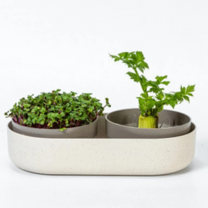 Plastia Microgreens + ReGrow csíráztató edény (dupla)