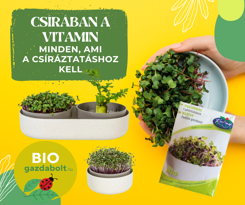 BIOGAZDABOLT CSÍRÁZTATÁS - BIOKERT - BIOCSÍRA - RÉDEIKERTIMAG